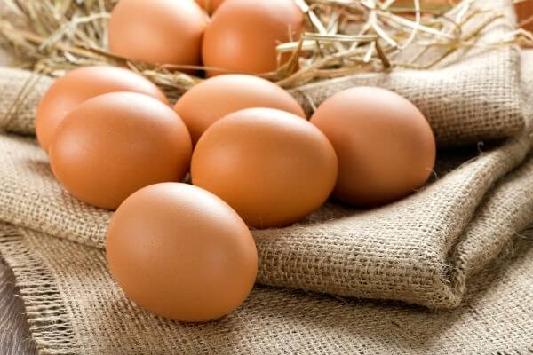 Как увеличить яйценоскость кур зимой? Секреты и советы. 