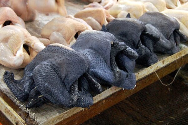 Рецепт нежного филе черной китайской шелковой курицы. 