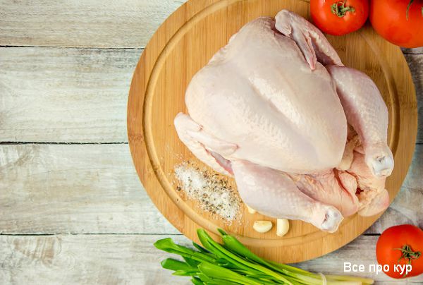 Куриное мясо польза и вред курятины. Куриное мясо польза и вред курятины.