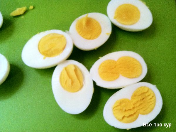 Какие куры несут двухжелтковые яйца? 
