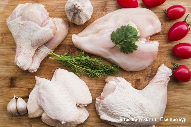 Мясо курицы – преимущества и недостатки. 