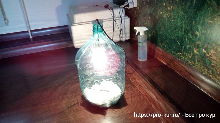 DIY inkubátor z plastové láhve na chladič za 10 minut.