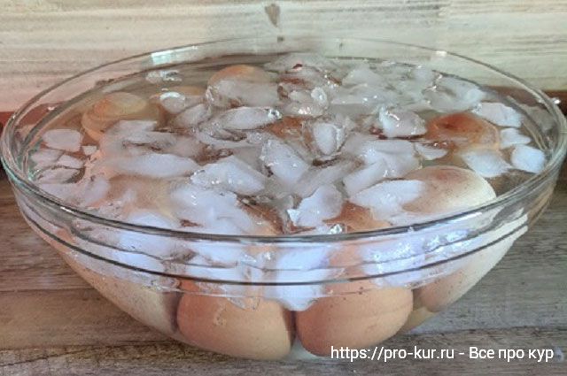 Как легко очистить свежие яйца, сваренные вкрутую - 2 способа. 