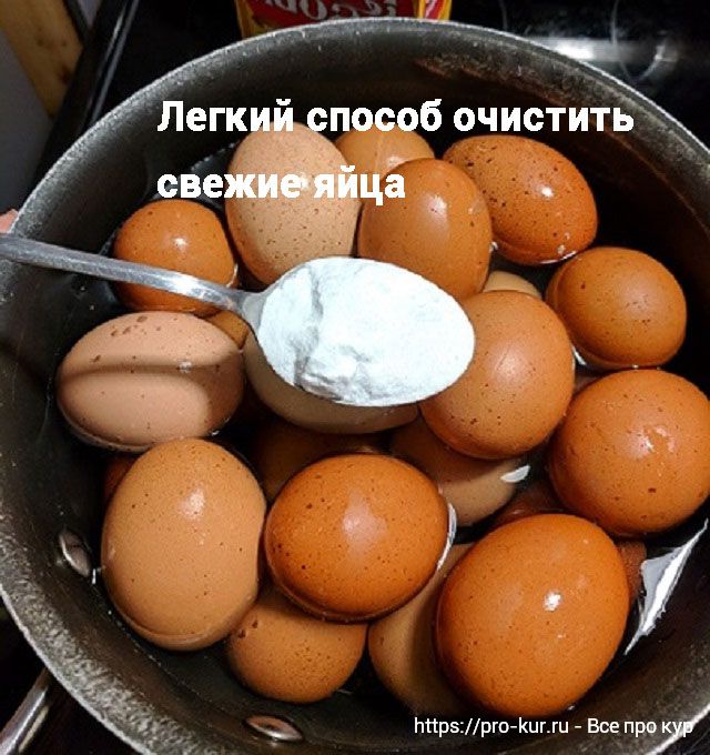 Для варки яиц добавляем соду в воду. 