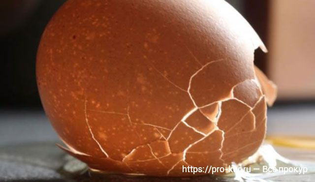 Почему тонкая скорлупа у куриных яиц что делать? 