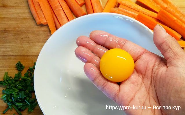 Оранжевые яичные желтки и чем кормить кур для яркого желтка? 
