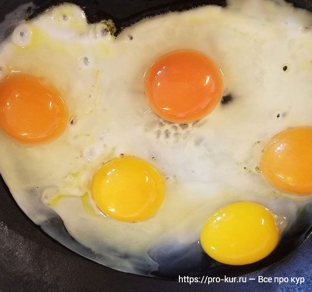 Яичница с разными по цвету желтка яйцами. 