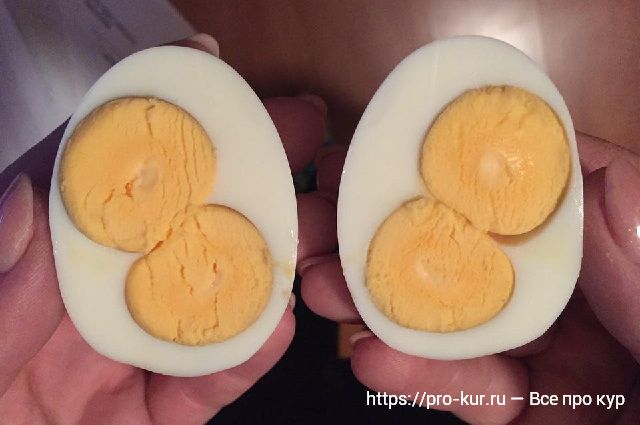 Это яйцо с двумя желтками. 