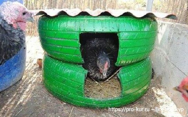 Гнездо для кур несушек из старой шины. 