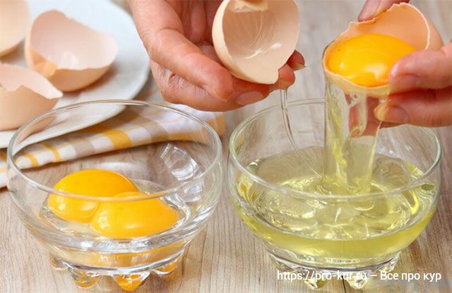 Замораживание яиц на зиму, хранение и применение в кулинарии. 