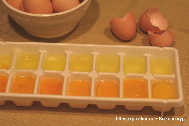 Как проверять яйца кур на свежесть