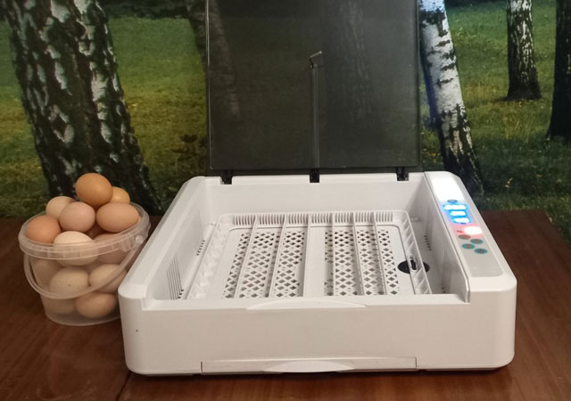 Как выбрать домашний инкубатор для яиц лучший и надежный HHD. 