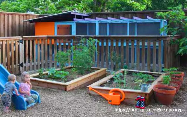 10 способов построить лучший курятник на лето в саду и на даче. 