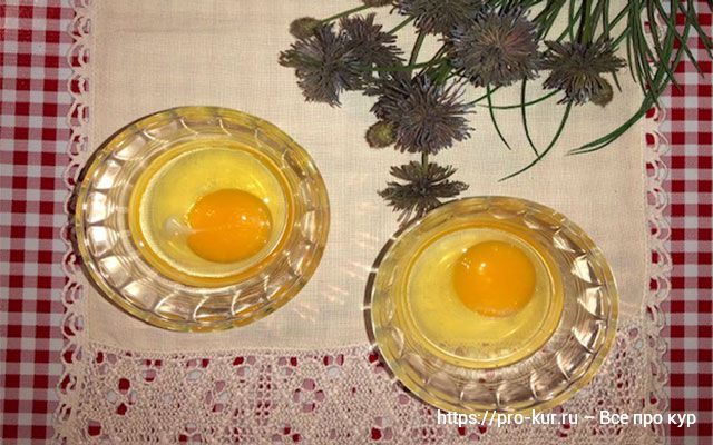 Прежде чем съесть яйцо, проверьте цвет его желтка
