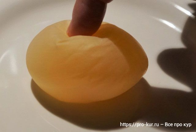Яйцо в мягкой скорлупе. 