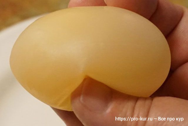 Мягкие яйца у курицы что делать? 