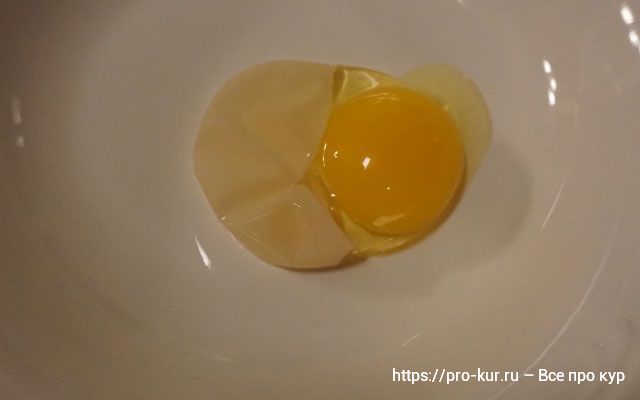 Яйцо в мягкой скорлупе. 