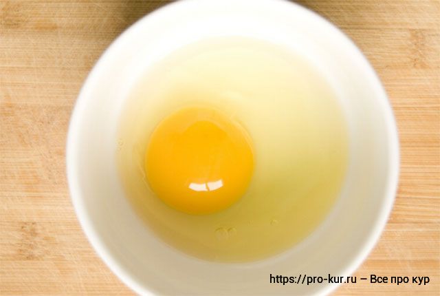 Как проверять яйца кур на свежесть и способы хранения до полугода. 