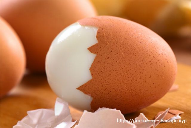 Как проверять яйца кур на свежесть