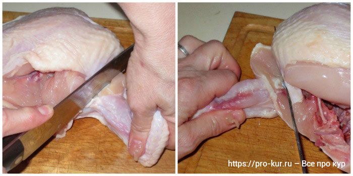 Как разрезать целую курицу на 11-15 кусков на шашлык, суп, для жарки и запекания. 
