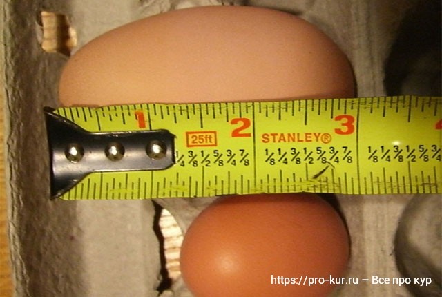 Яйцо с двумя желтками это нормально у кур молодок и старух. 