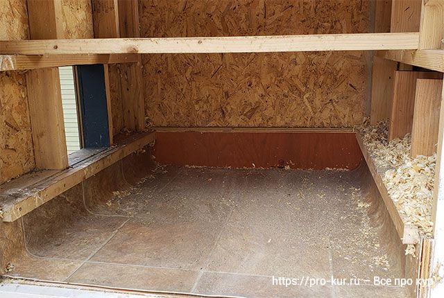 курятник запах