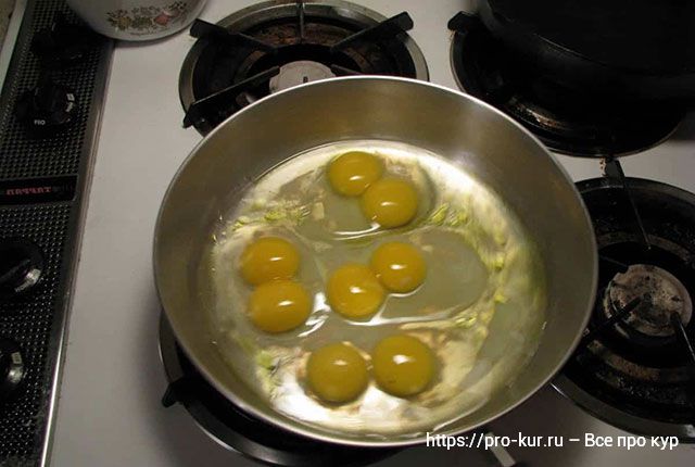 Двухжелтковые яйца – норма или аномалия, почему и причины. 