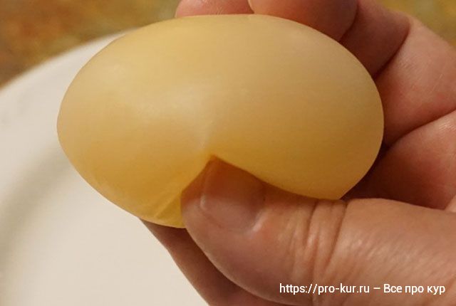 Что делать, если у куриных яиц тонкая скорлупа
