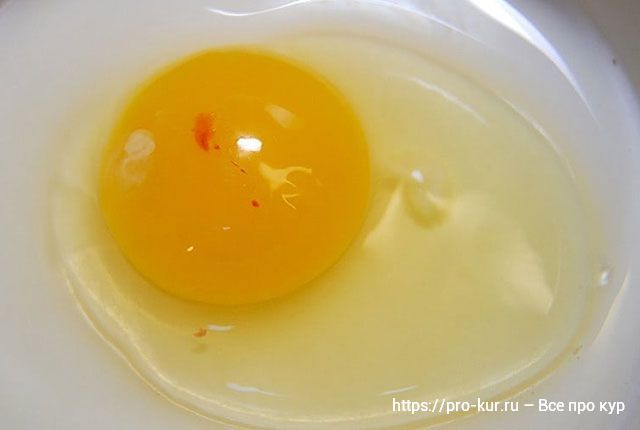 Красное пятно в сыром яйце и можно ли его есть? 