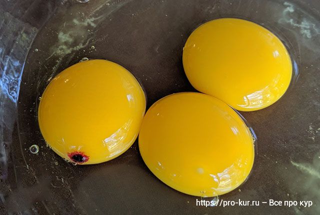 Красное пятно в сыром яйце и можно ли его есть