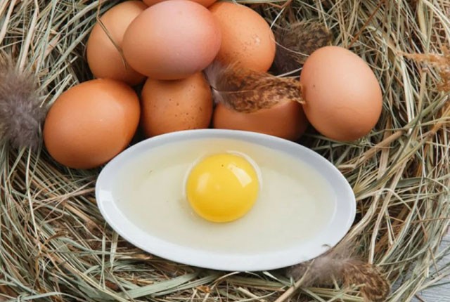 Фермерские и домашние яйца кур – сплошная польза. 