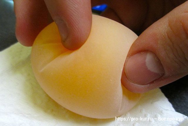 Почему куры несут яйца без скорлупы причины и что делать. 
