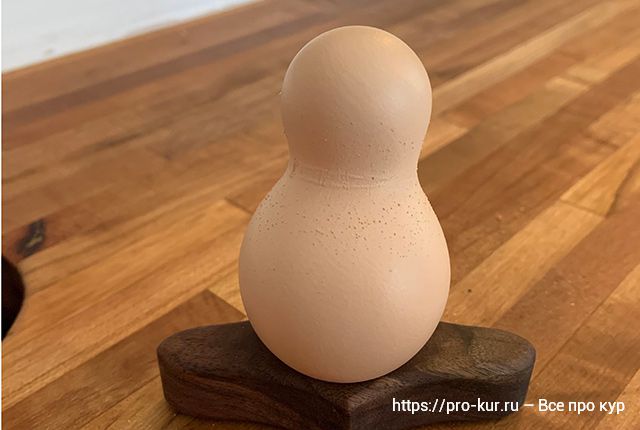 Яйца странной формы – 33 фото куриного казуса. 