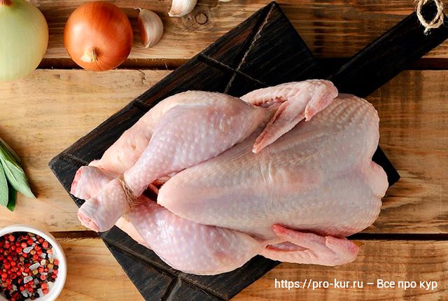Качество мяса цыплят бройлеров от чего зависит, как улучшить? 