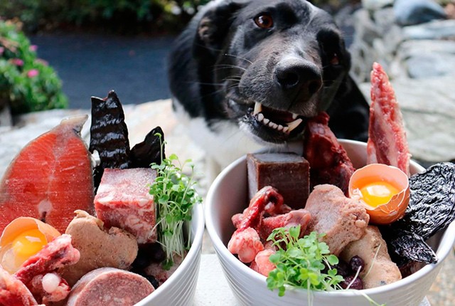 Кормление собак мясом и субпродуктами. 