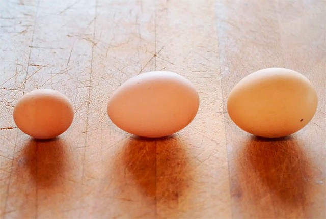 Что делать, если у кур стали мелкие яйца. 