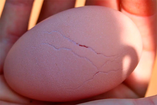 Почему яйца серые. У ребенка на яичках небольшая трещина.