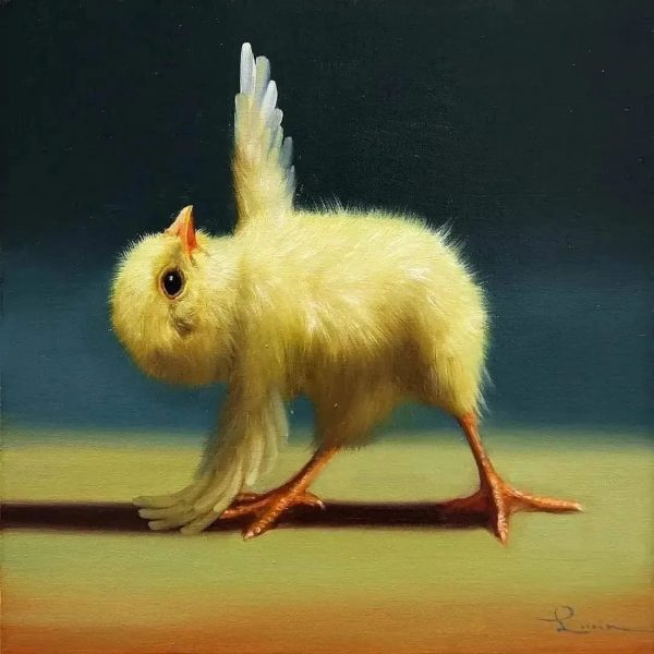 Цыпленок йога – 11 фото картин маслом. 