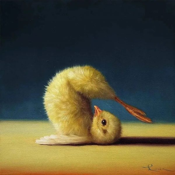 Цыпленок йога – художник Люсия Хеффернан