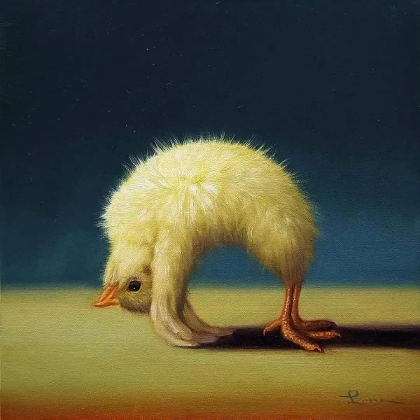 Цыпленок йога – художник Люсия Хеффернан