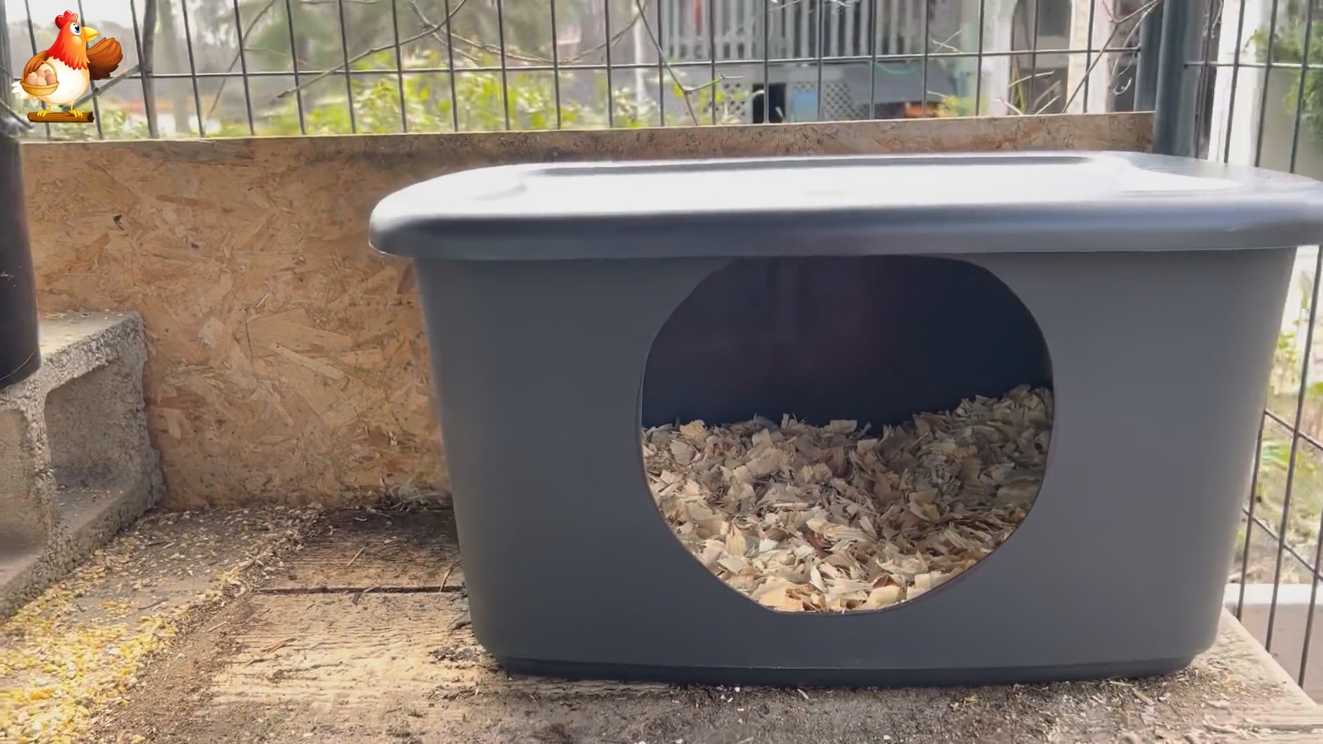 Гнездо курам в контейнере можно ставить на выгульном дворике