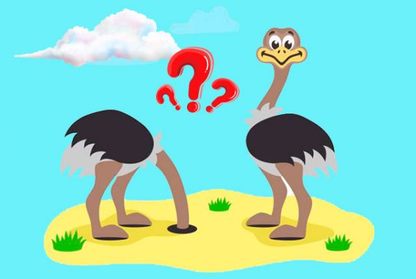Почему страусы не прячут голову в песок. 