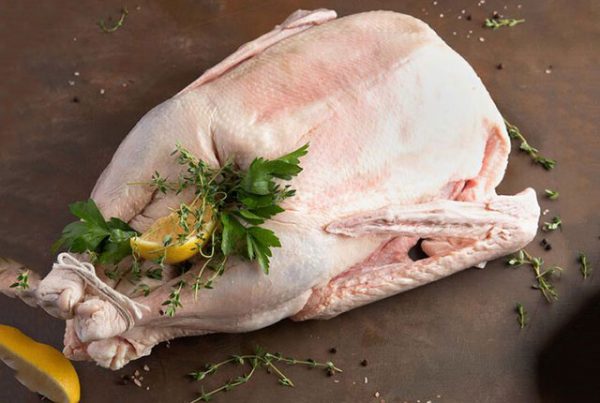 Польза гусиного мяса – новые исследования