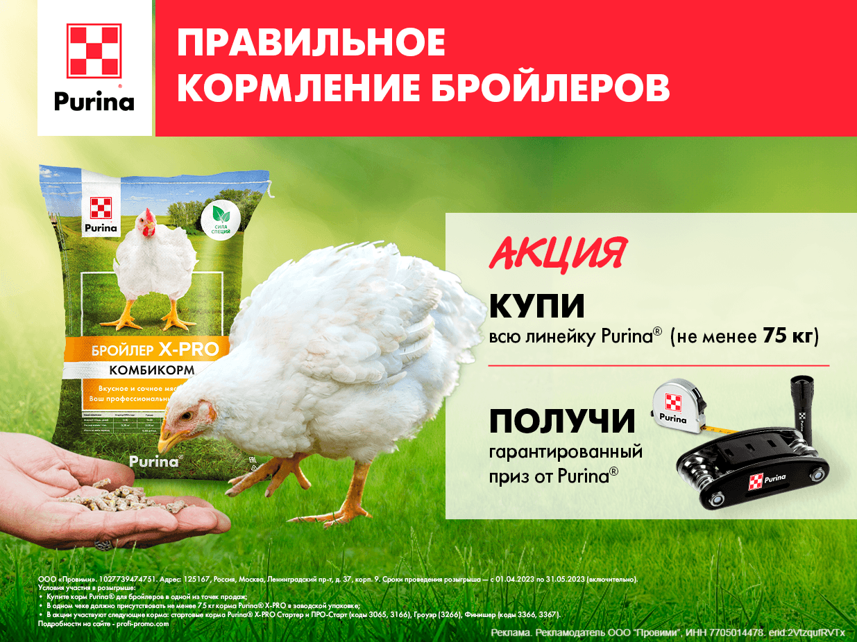 Правильное кормление бройлеров. Линейка Purina® X-PRO