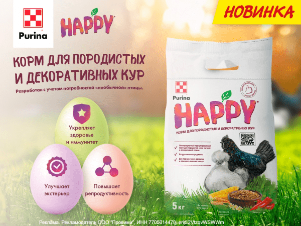 Новый корм Purina® HAPPY (код 2626) был специально разработан с учетом потребностей «необычной» птицы и ее владельцев: он поможет укрепить здоровье и иммунитет птицы. 
