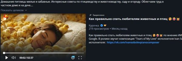 Канал "Курочка" в Rutube – чем отличается от своих двойников? 