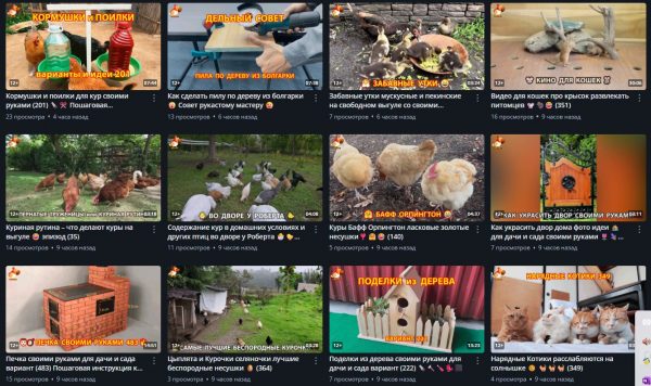 Канал "Курочка" в Rutube – чем отличается от своих двойников?
