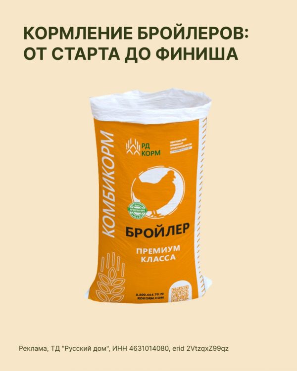 Рекомендации по правильному кормлению бройлеров – от старта до финиша. 