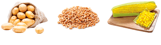 Все про кур несушек