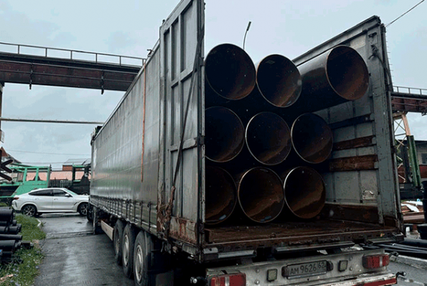 Все про кур несушек